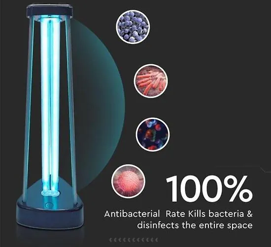 아파트 Ksenija 오스텐드